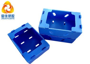 China Unfoldable Plastic Perforated Boxes For Fruits Transportation supplier