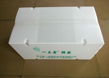 China Collapsible Plastic Boxes With Air Circulating Holes For Transporting Vegetables supplier