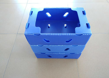 Unfoldable Plastic Perforated Boxes For Fruits Transportation