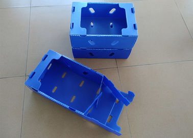 Unfoldable Plastic Perforated Boxes For Fruits Transportation